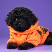 Anne Baba 1500-1800Gr Micro Black Poodle 19 Cm Geçmeyecek