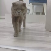 Aradıgın Buldun